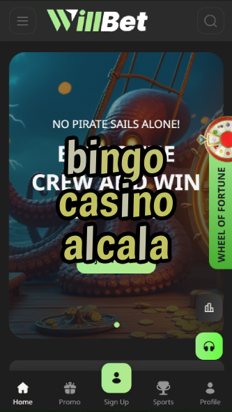 bingo casino alcala-asdasdzhjkds.com