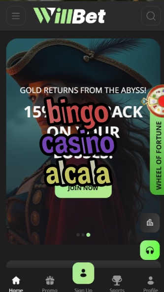 bingo casino alcala-asdasdzhjkds.com